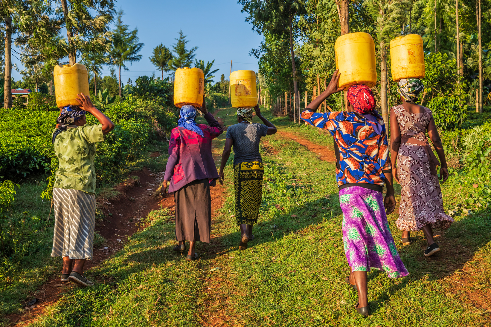 African women carrying water, Kenya, East Africa